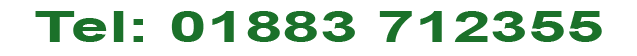 logo-number